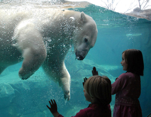 Brookfield Zoo